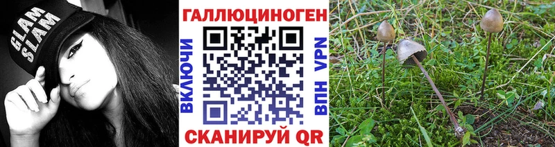 купить закладку  Семёнов  Галлюциногенные грибы мухоморы 